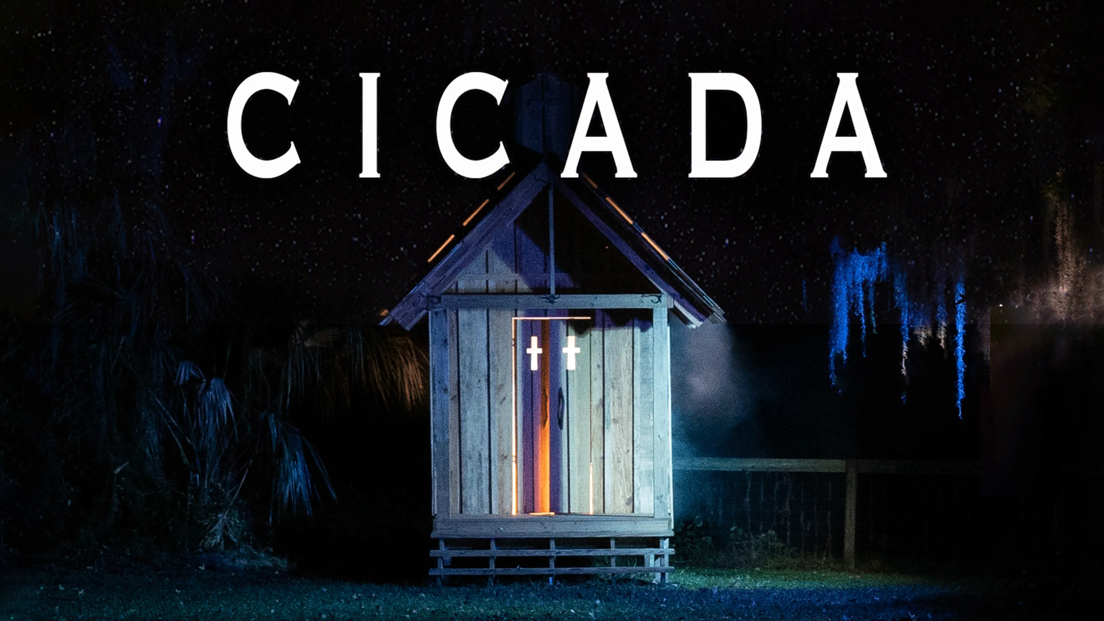 Cicada poster